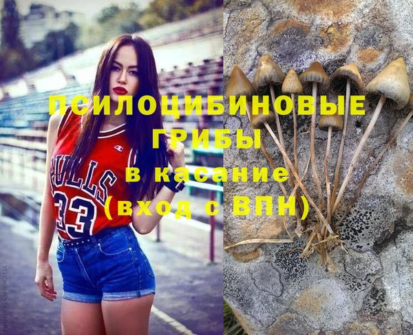 шишки Баксан
