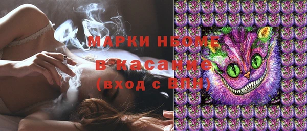 прущие грибы Балабаново