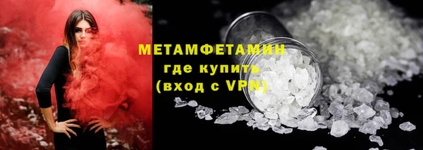 прущие грибы Балабаново