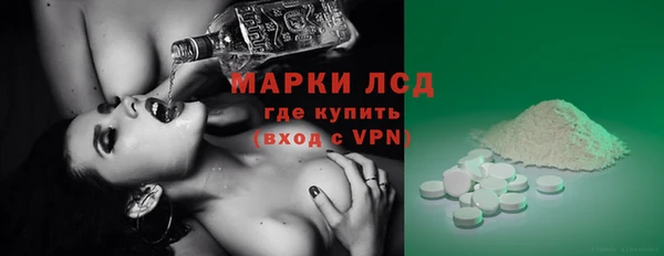 прущие грибы Балабаново