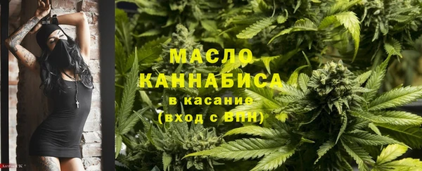 прущие грибы Балабаново