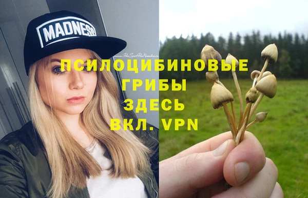 шишки Баксан