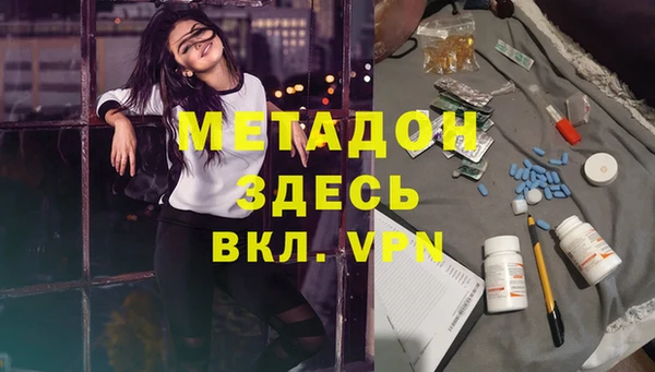 прущие грибы Балабаново