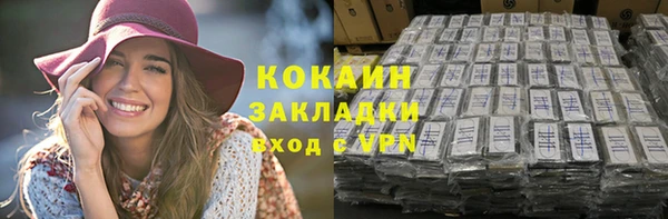 прущие грибы Балабаново