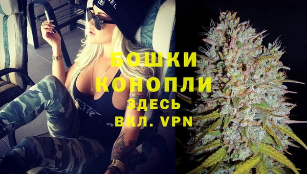 прущие грибы Балабаново