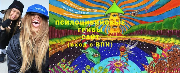 шишки Баксан