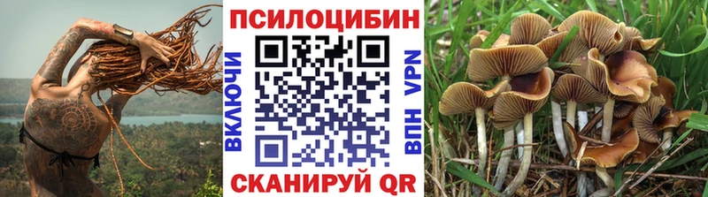 Купить  Бежецк  Псилоцибиновые грибы GOLDEN TEACHER 